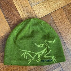 Arc'teryx Bird Head Toque - Green Knit Beanie